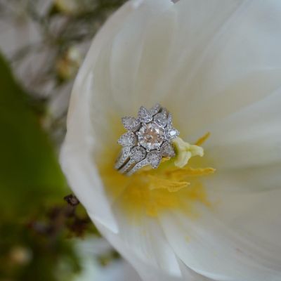 Der Together Ring von @marco_valente_high_jewelry ist ein echtes Statement. 
Seine Diamanten strahlen mit jeder Bewegung und ziehen alle Blicke auf sich. 

Ein funkelnder Hingucker, der Eleganz und Ausdruck perfekt vereint. 

#MVHJ #GADOROStilreich #Köln