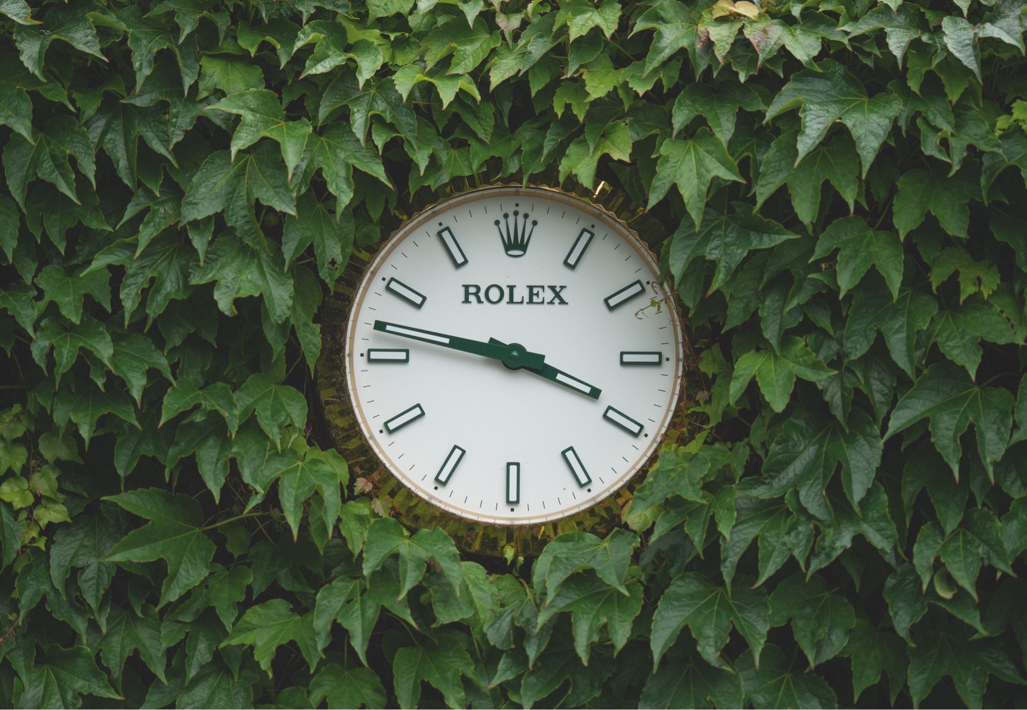 Rolex und der Sport